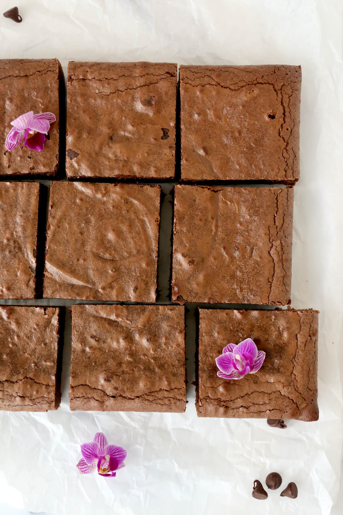 Nine chocolate brownie squares with purple flowers.  