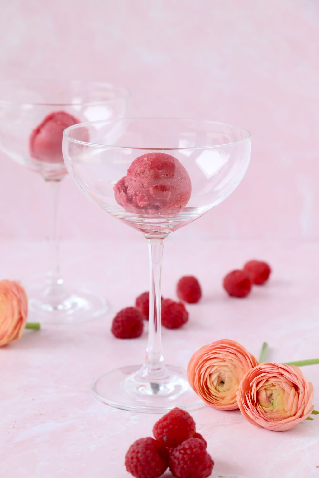 a wine glass with a scoop of raspberry sorbet 