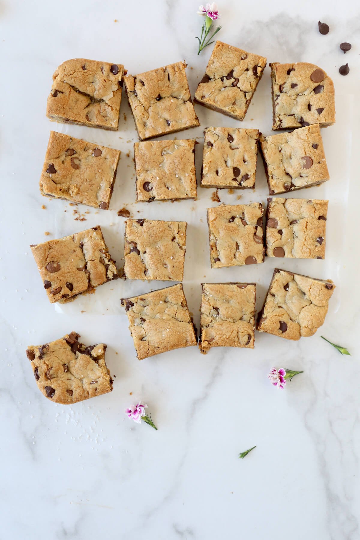 Chocolate Chip Blondies Recipe