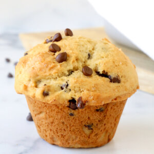 One large chocolate chip muffin.