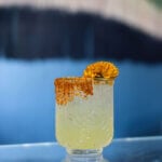 A glass with a yellow liquid inside, spicy salt on the rim and an orange flower on top.
